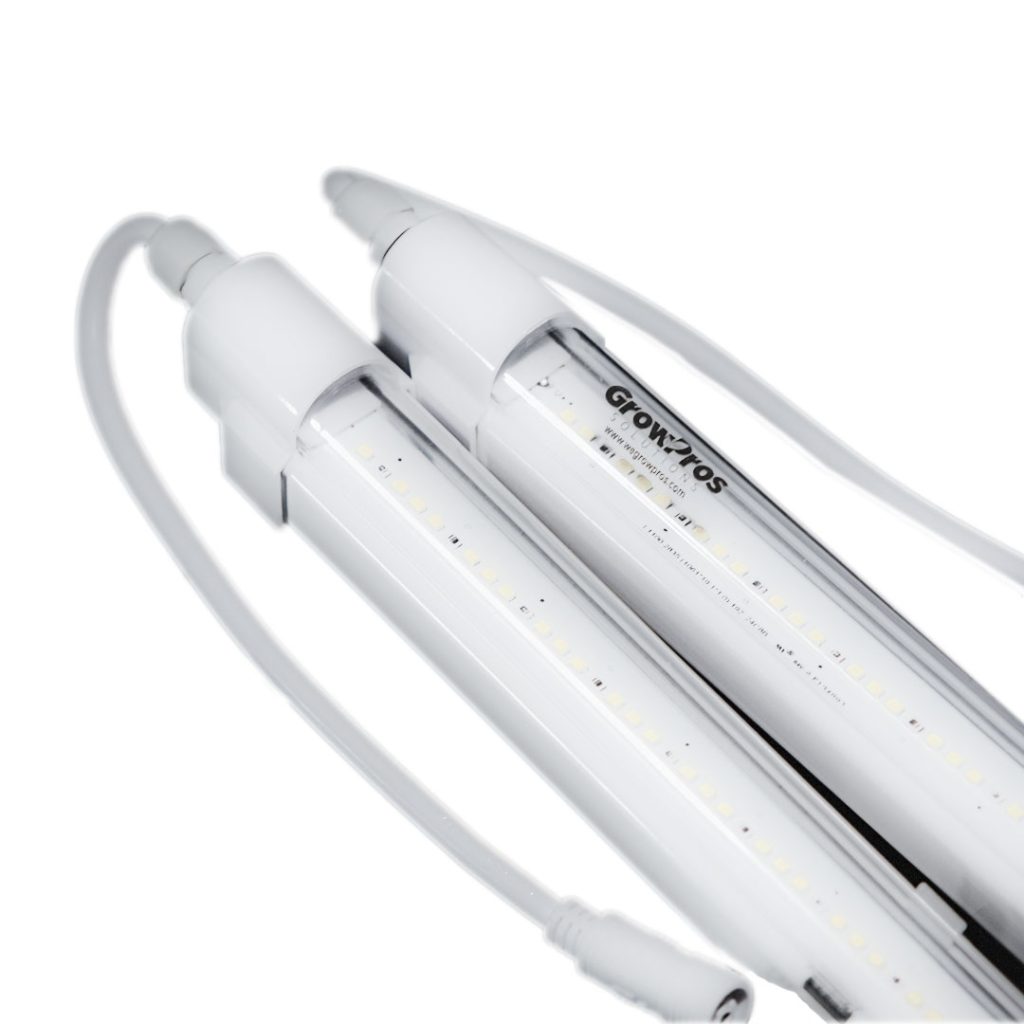 8' Clone Lights