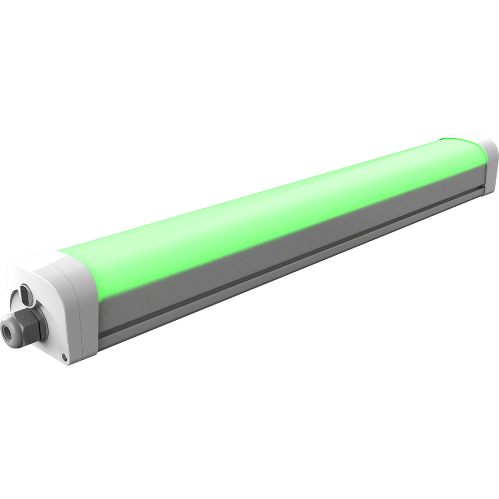 Emergency Green Light 2ft