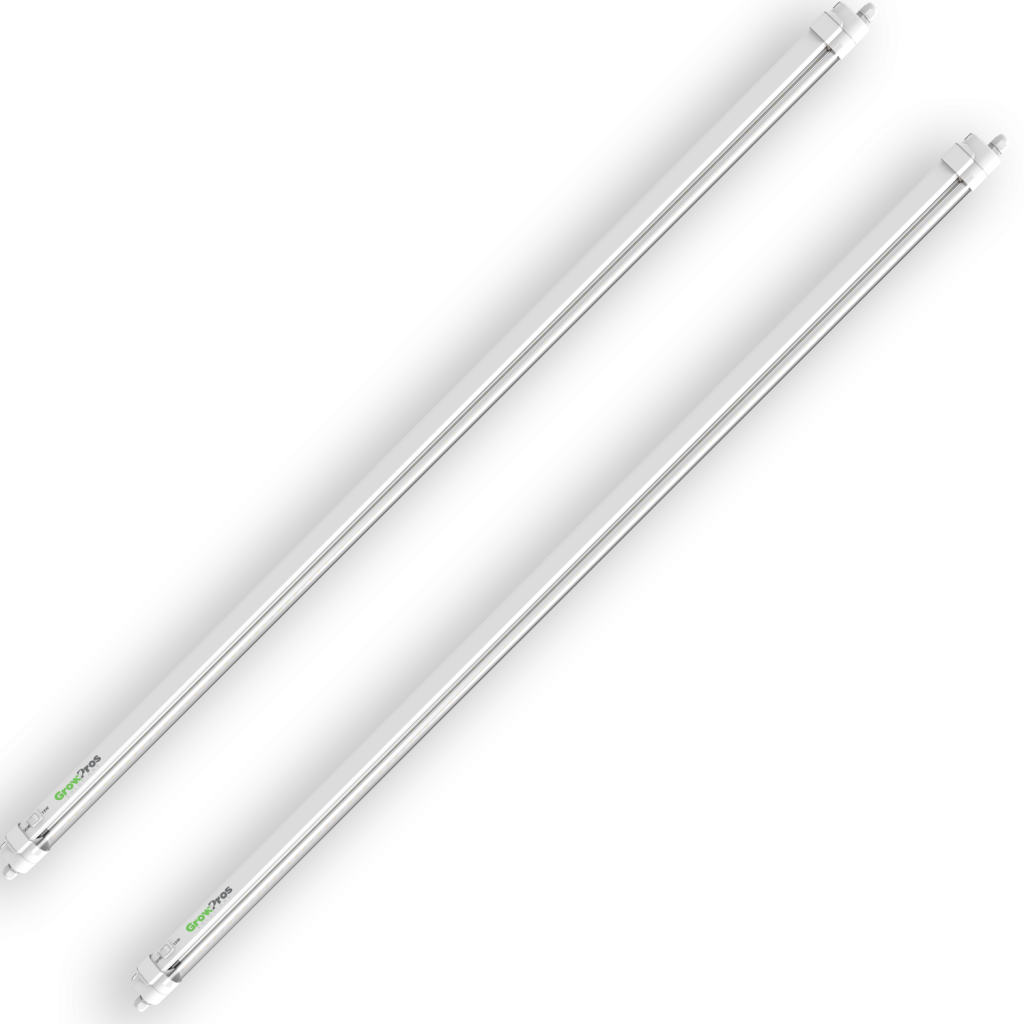 8' Clone Lights
