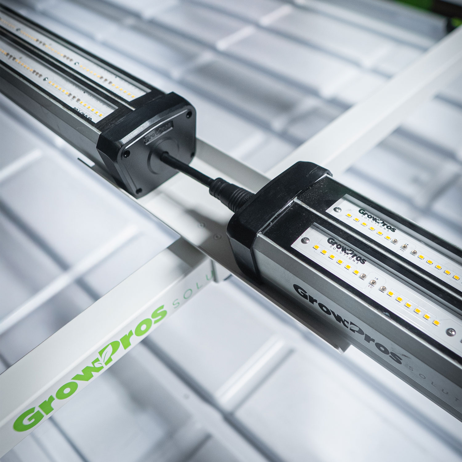 Under Canopy Light Bench Bridge Stands - Image 7