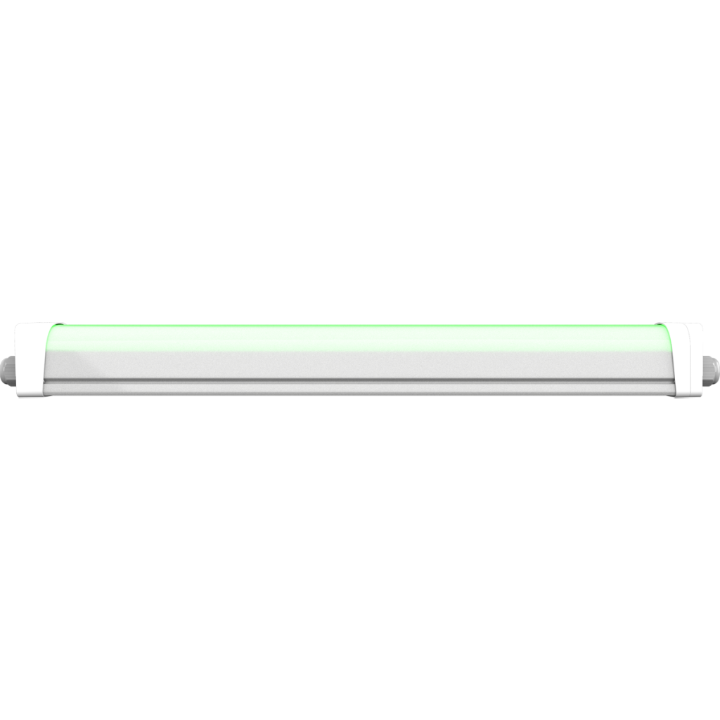 Emergency Green Light 2ft
