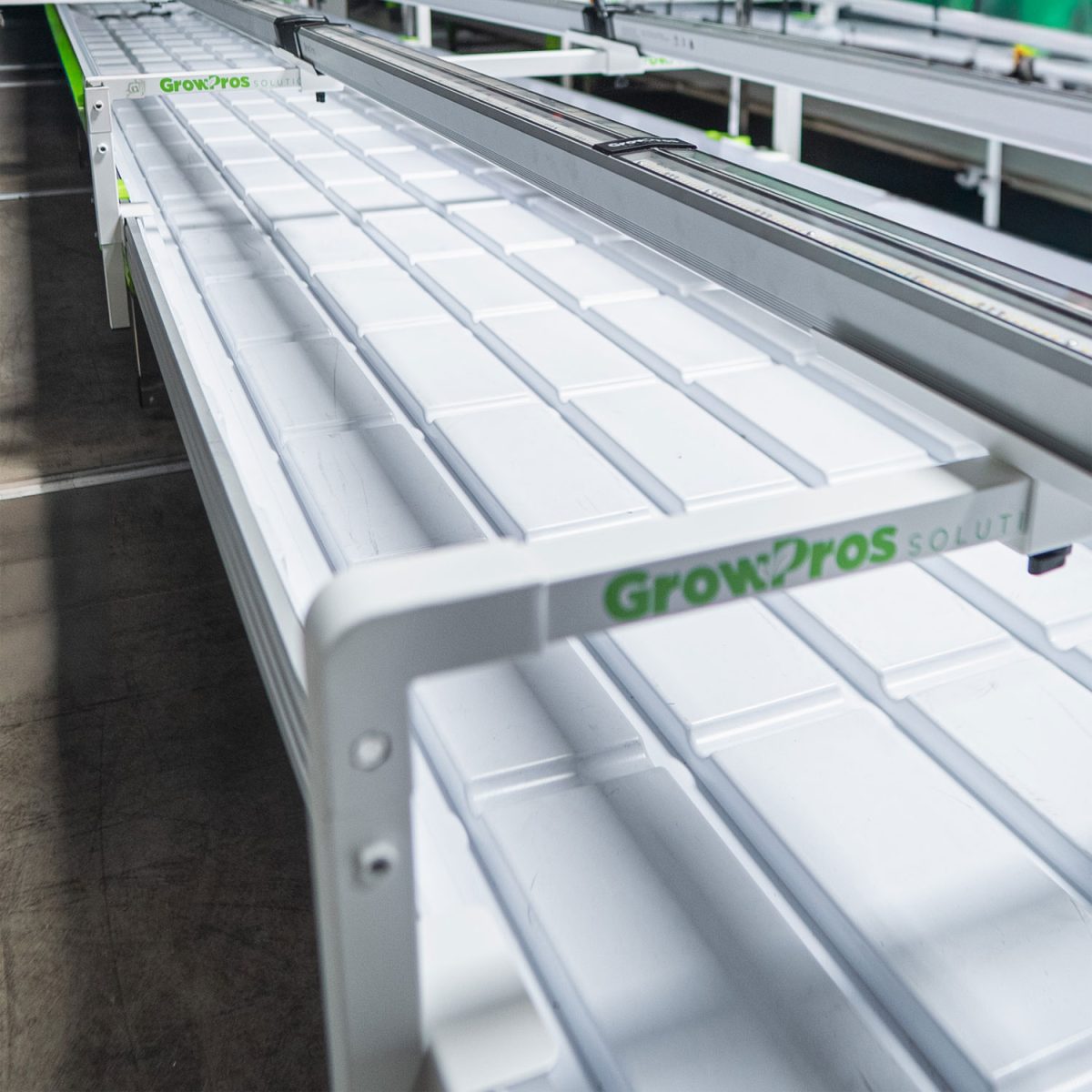 Under Canopy Light Bench Bridge Stands - Image 6