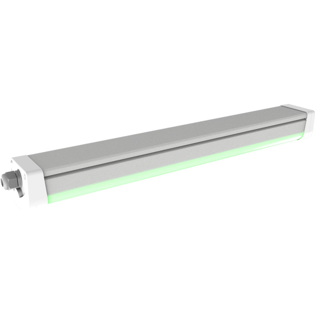 Emergency Green Light 2ft