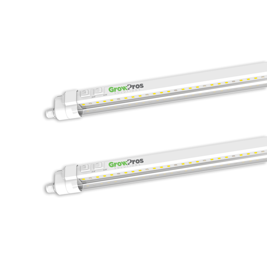 8' Clone Lights