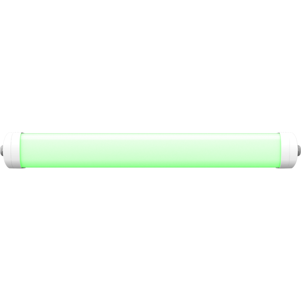 Emergency Green Light 2ft