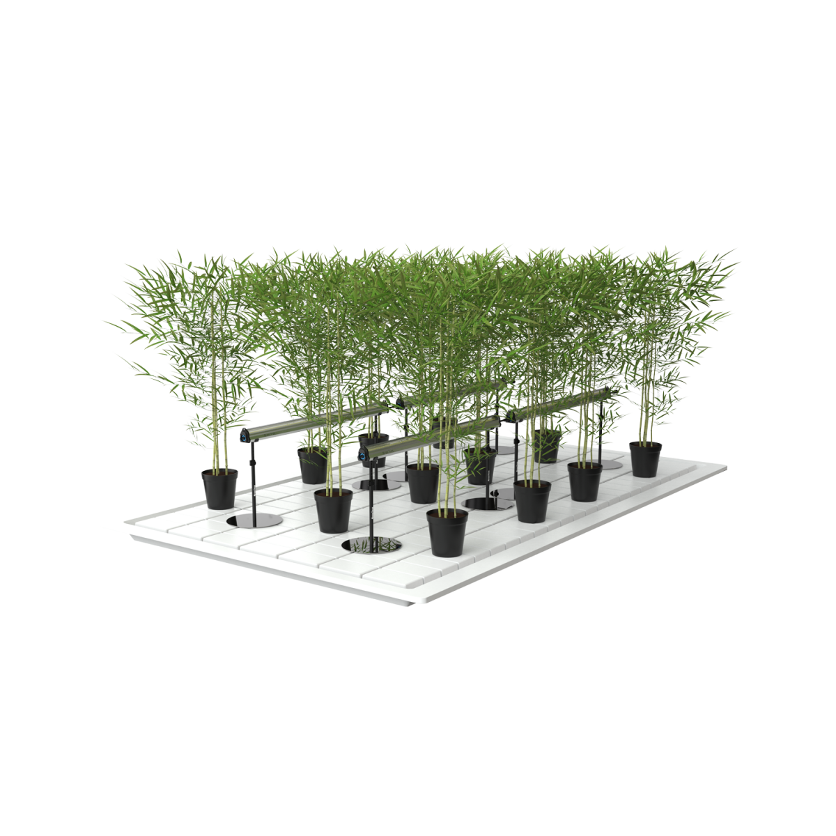 4ft Under Canopy Grow Light Full Spectrum - Image 7