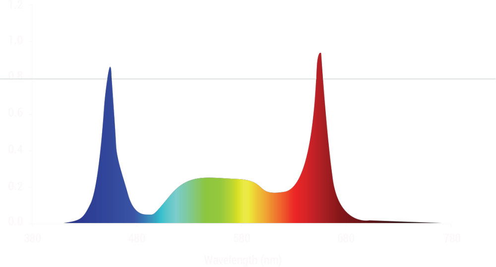 AK 800 PRO LED Grow Light - Image 6